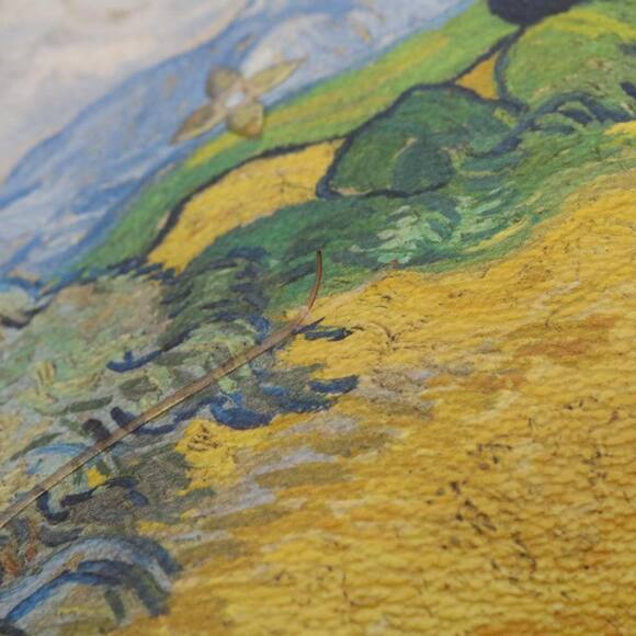 LOUIS VUITTON Van Gogh Masters Collection Palm Springs Backpack M43374 - Picture 3 of 16